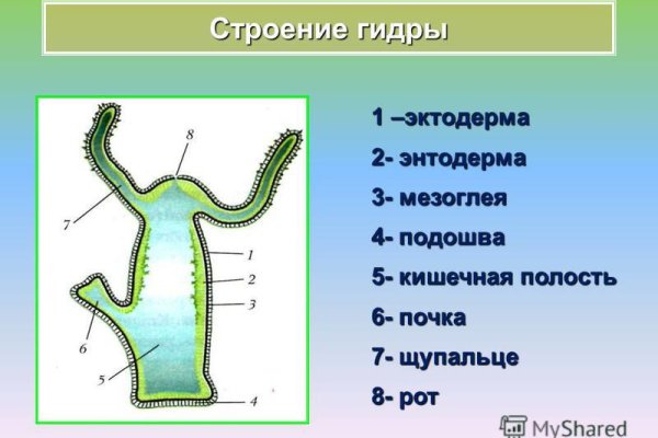 Kraken 16 at сайт